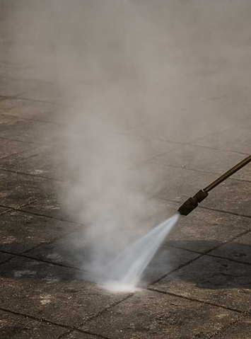 Book Your Bird Droppings Removal Training With Biohazard Cleaning Courses Today